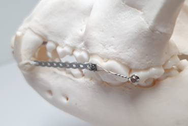 Orthodontics I Orthodontics I