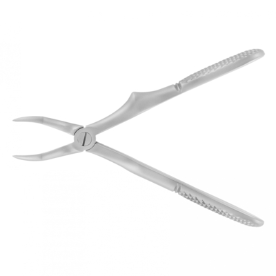 Root Forceps Small Curved Advanced Accesia Root Forceps Small Curved Advanced Accesia