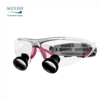 Standard Lupe Accesia Rosa Standard Lupe Accesia Rosa