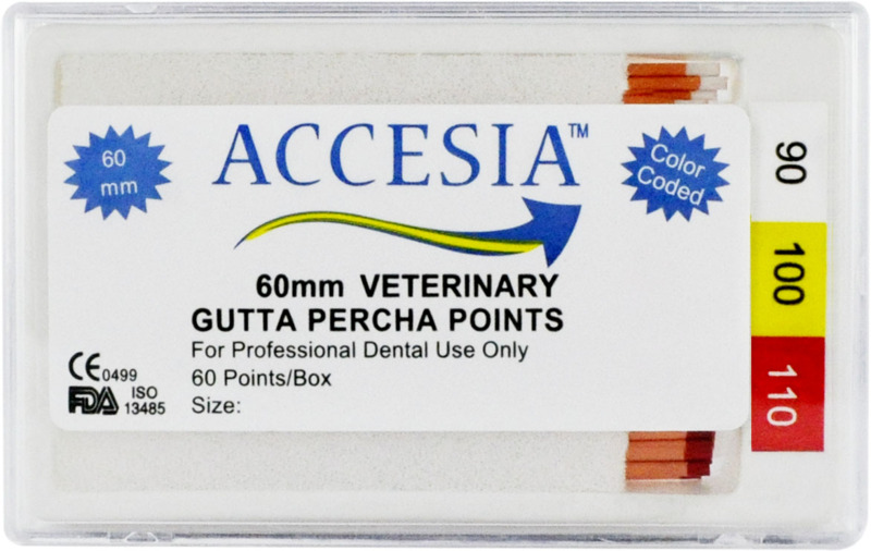 Gutta Percha Accesia Gutta Percha Accesia