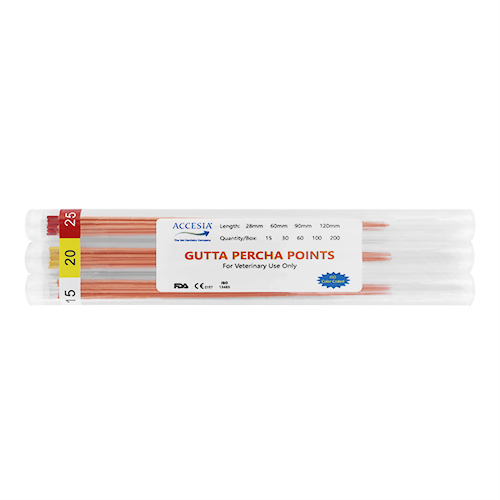 Gutta Percha Accesia Gutta Percha Accesia