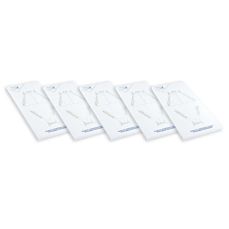 Tooth Map pad Tooth Map pad