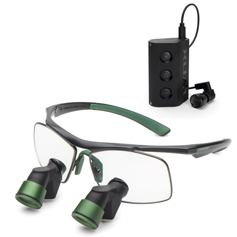 Techne Ergo Advanced Lupp