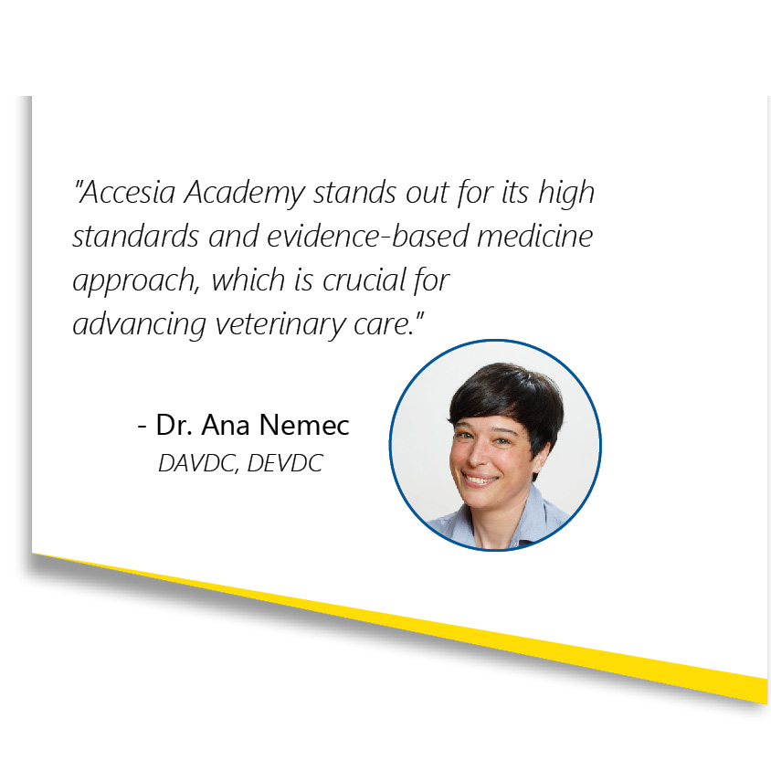 Accesia Academy offers the broadest and most in-depth range of courses in veterinary dentistry. Our Academy is renowned for it’s extensive range of courses that cater to all levels of professional development - from those just beginning their careers to experienced veterinarians and nurses looking to enhance their skills. Our high-quality training is conducted with the latest equipment and instruments, where functionality, ergonomics, and hygiene are our guiding principles which are essential for an ethical and effective veterinary dental care.