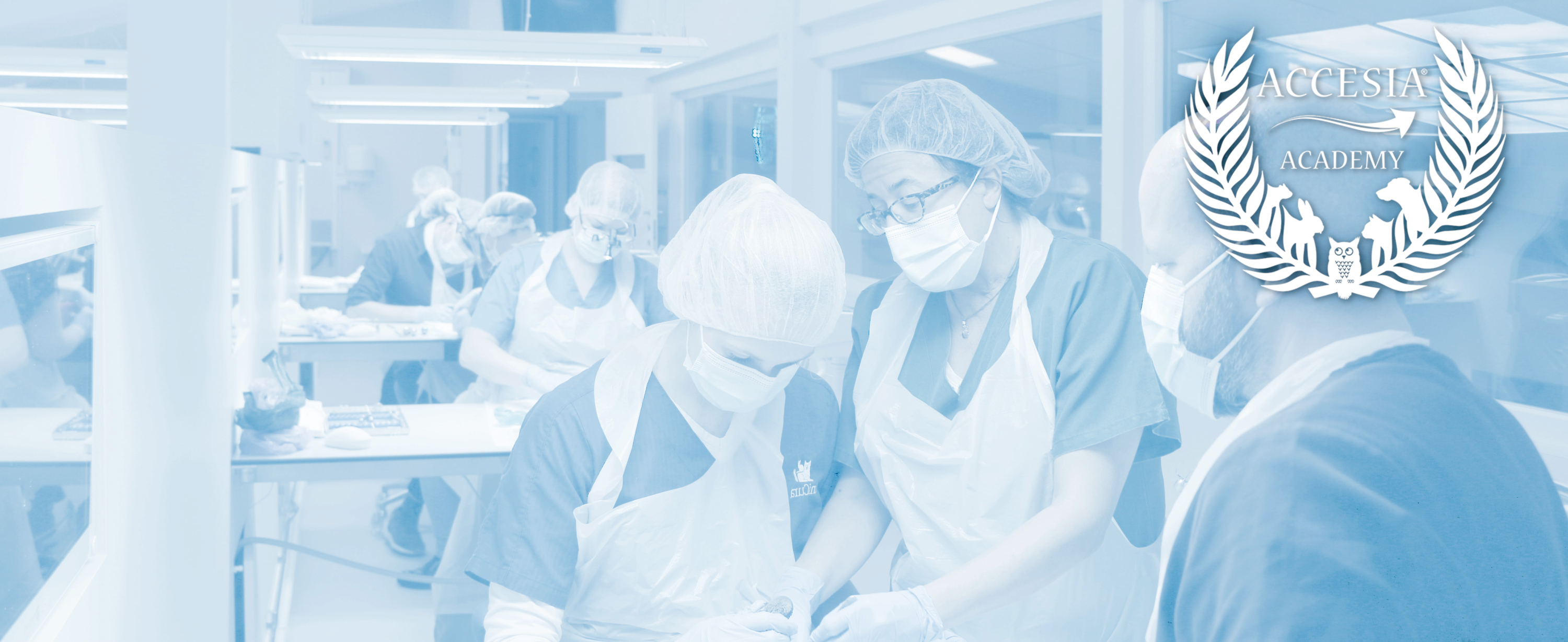Learn more about Accesia Academy Learn more about Accesia Academy