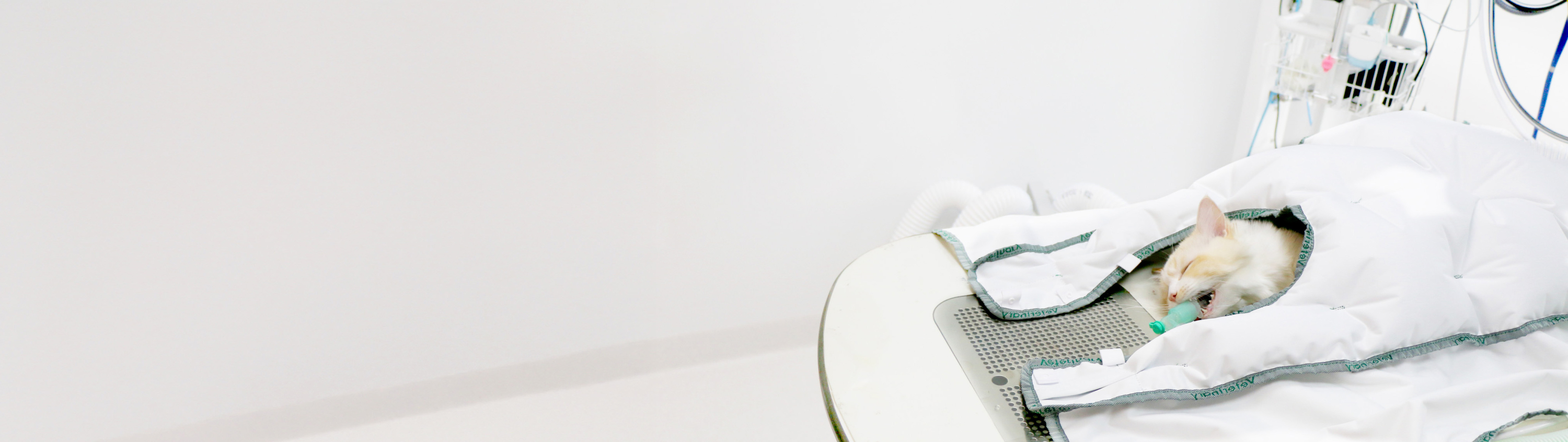 Neu in unserem Webshop:
Moeck Warming System® – intelligente Temperaturregelung für Tierkliniken Neu in unserem Webshop:
Moeck Warming System® – intelligente Temperaturregelung für Tierkliniken